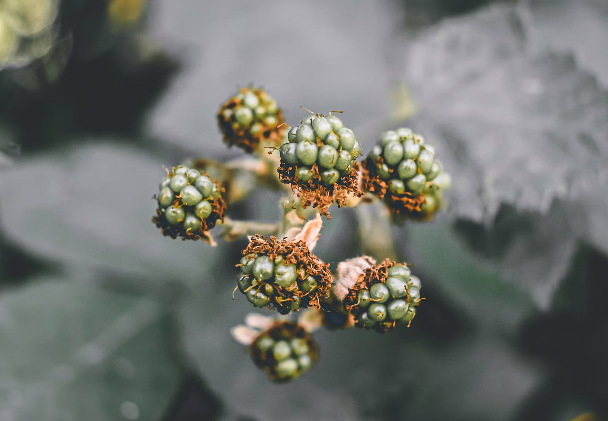 Cultural Landmarks: A Journey Through Heritage and Identity