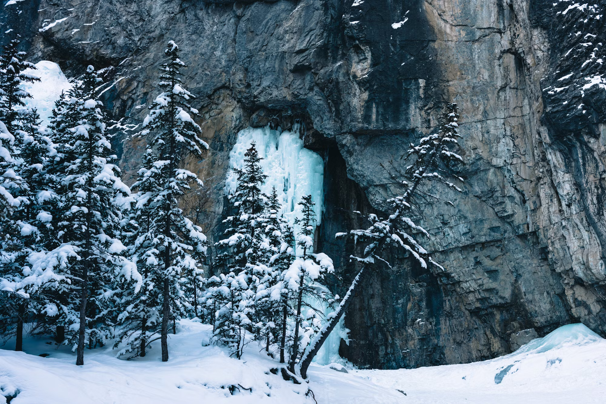 A Guide to Sustainable Travel: Exploring the World Responsibly